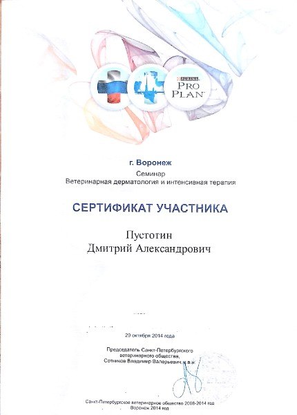 Участие в конференции. Город Воронеж.