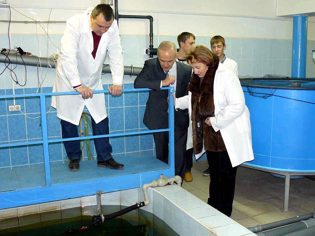 Экспертиза образовательных программ по направлению подготовки «Товароведение» и «Торговое дело» Фото 7 Экспертиза образовательных программ по направлению подготовки «Товароведение» и «Торговое дело» Фото 7