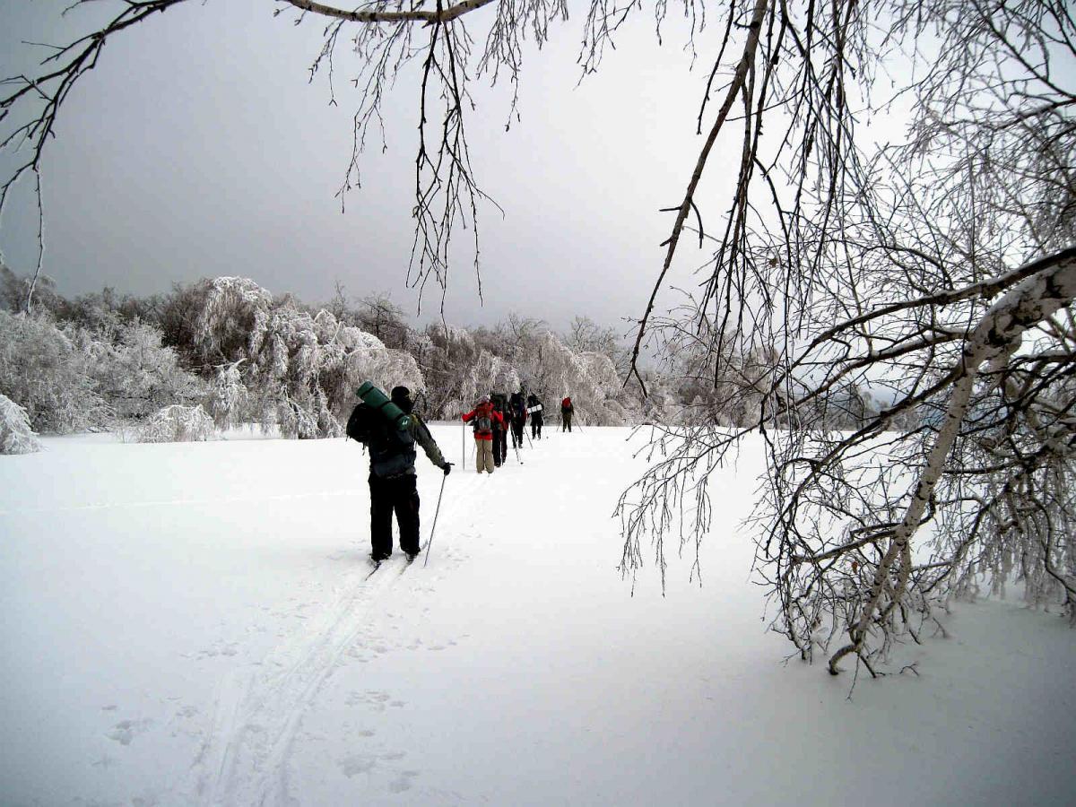 Поход выходного дня Фото 4