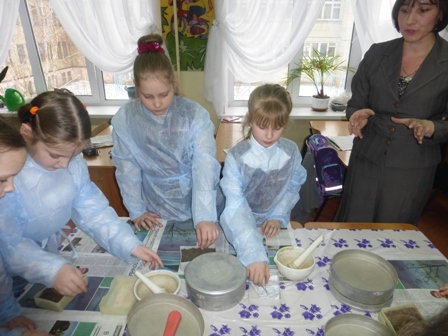 Кружок школьников "Окружающий мир" Фото 11