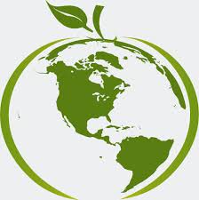 Экологический урок «Вместе на чистой земле»