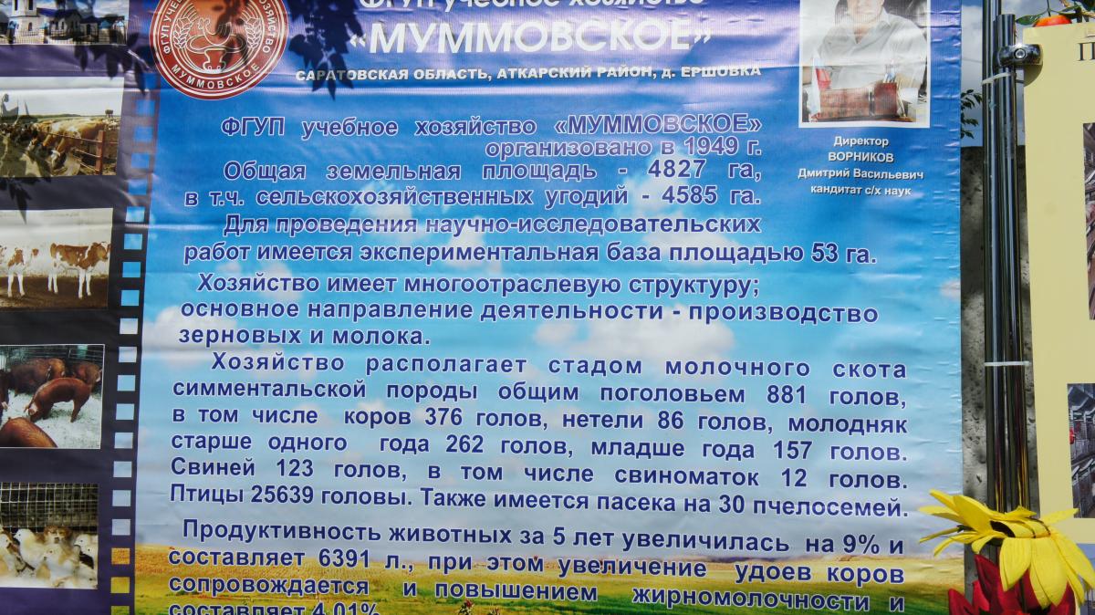 Открытие бегового сезона и выставка сельскохозяйственной и декоративной птицы на саратовском ипподроме Фото 10 Открытие бегового сезона и выставка сельскохозяйственной и декоративной птицы на саратовском ипподроме Фото 10