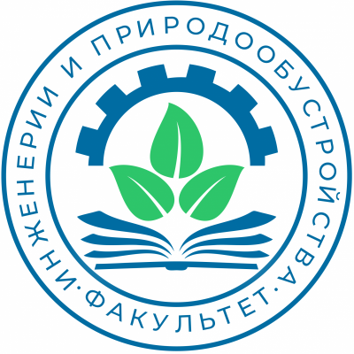Руководство института