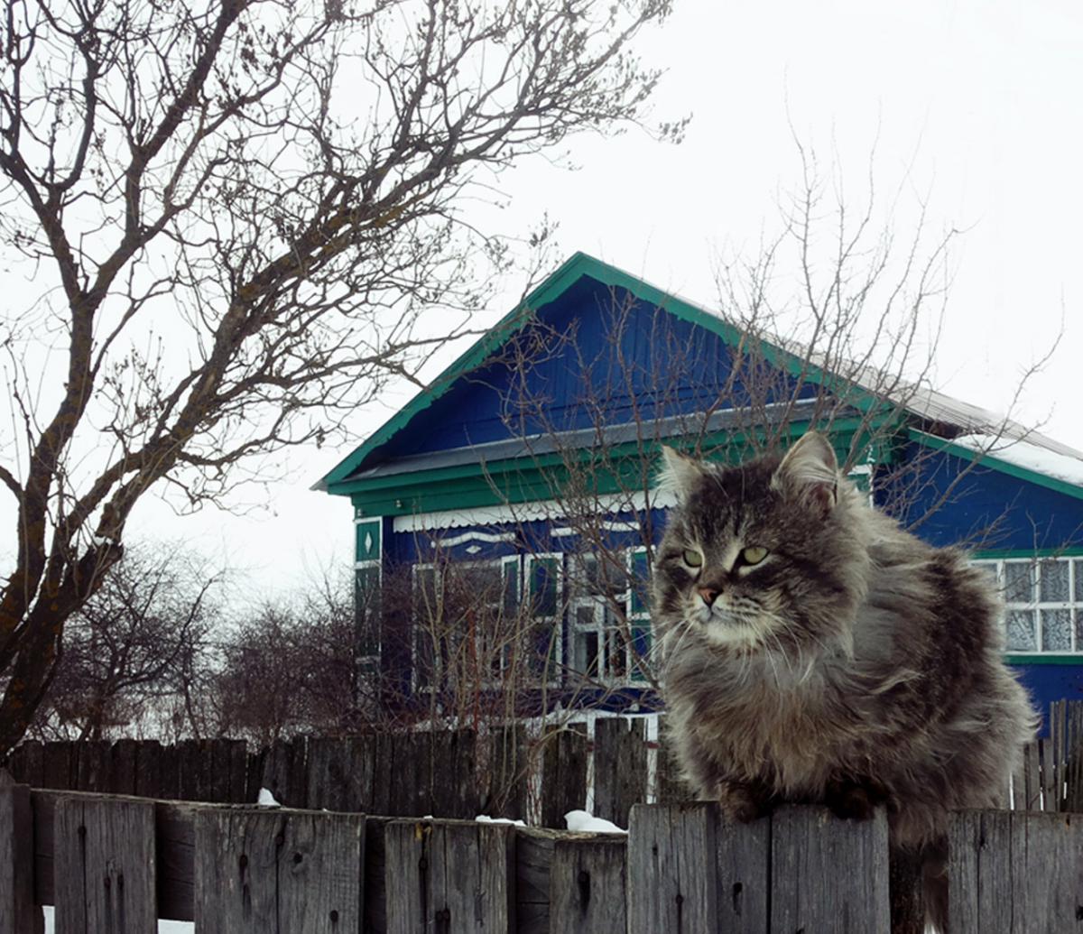 Кафедрой «Иностранные языки и культура речи» организован фотоконкурс «Это   Родина моя…» Фото 45