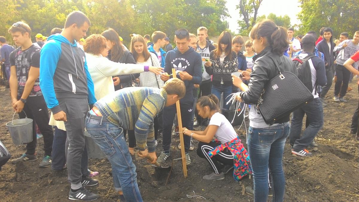 Аллея первокурсника в Корольковом саду