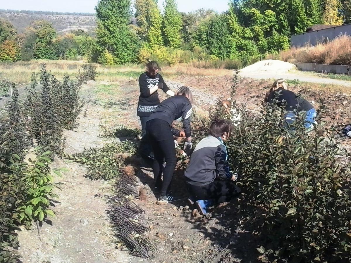 Благоустройство яблоневого сада в УНПК "Агроцентр" Фото 1