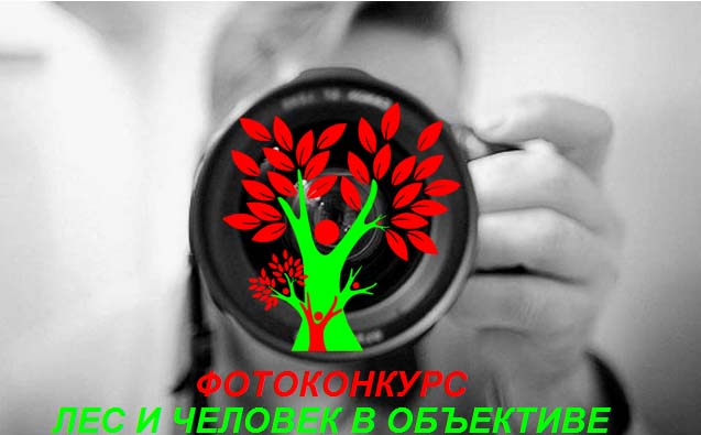 фотоконкурс для школьников