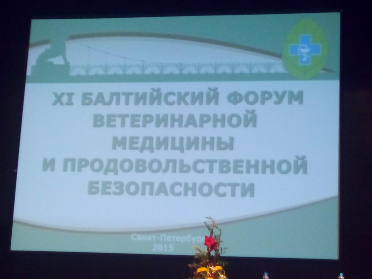 Участие к.в.н., ст. преподавателя кафедры Мариничевой М.П. в Балтийском форуме ветеринарной медицины и продовольственной безопасности 2015 Фото 2