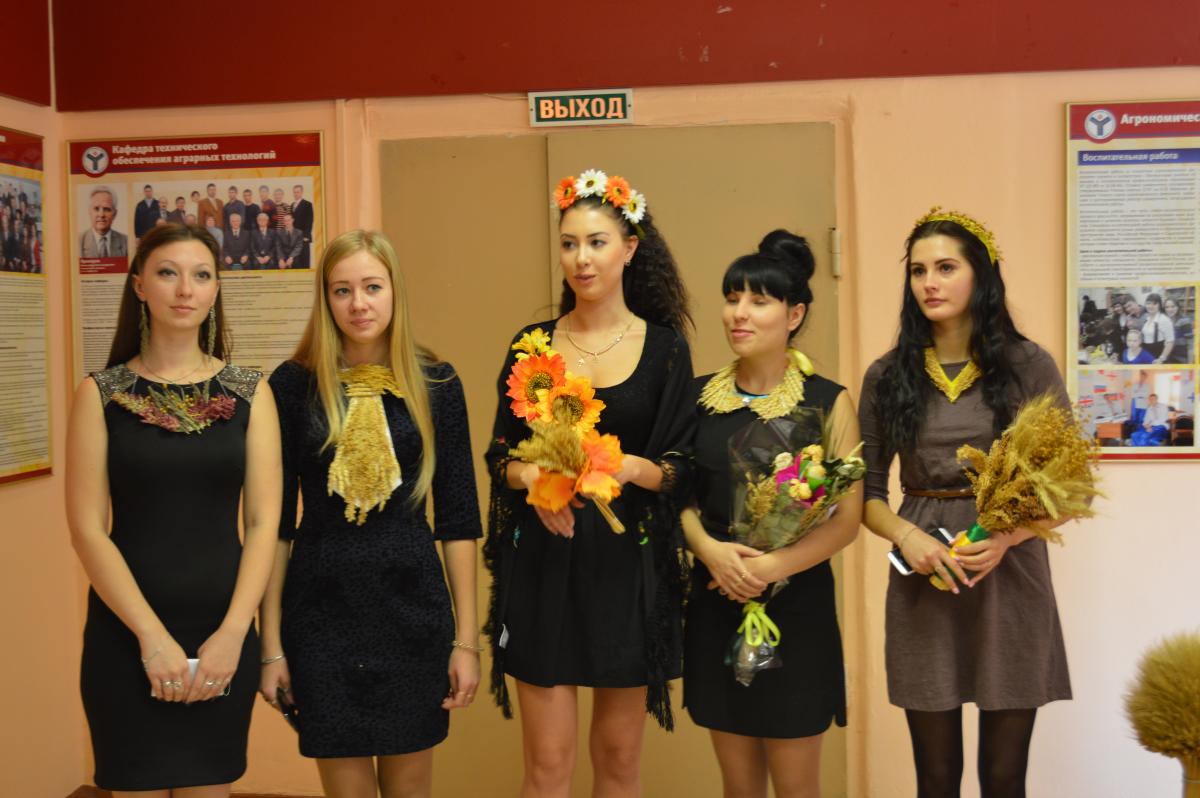 Фестиваль 