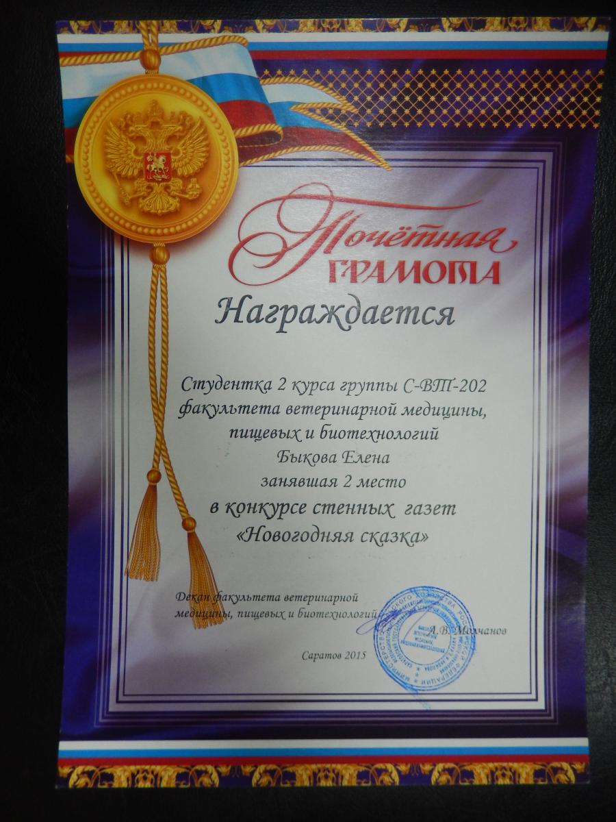 Итоги конкурса «Новогодняя сказка» Фото 2