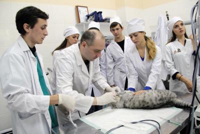 Учебно-научно-технологический центр «Ветеринарный госпиталь»