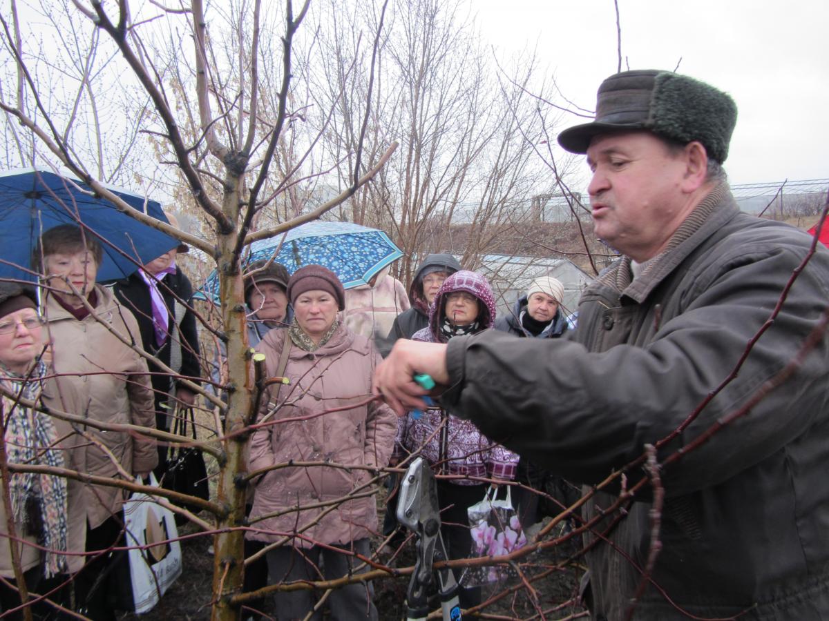 Городской семинар садоводов-любителей Фото 2