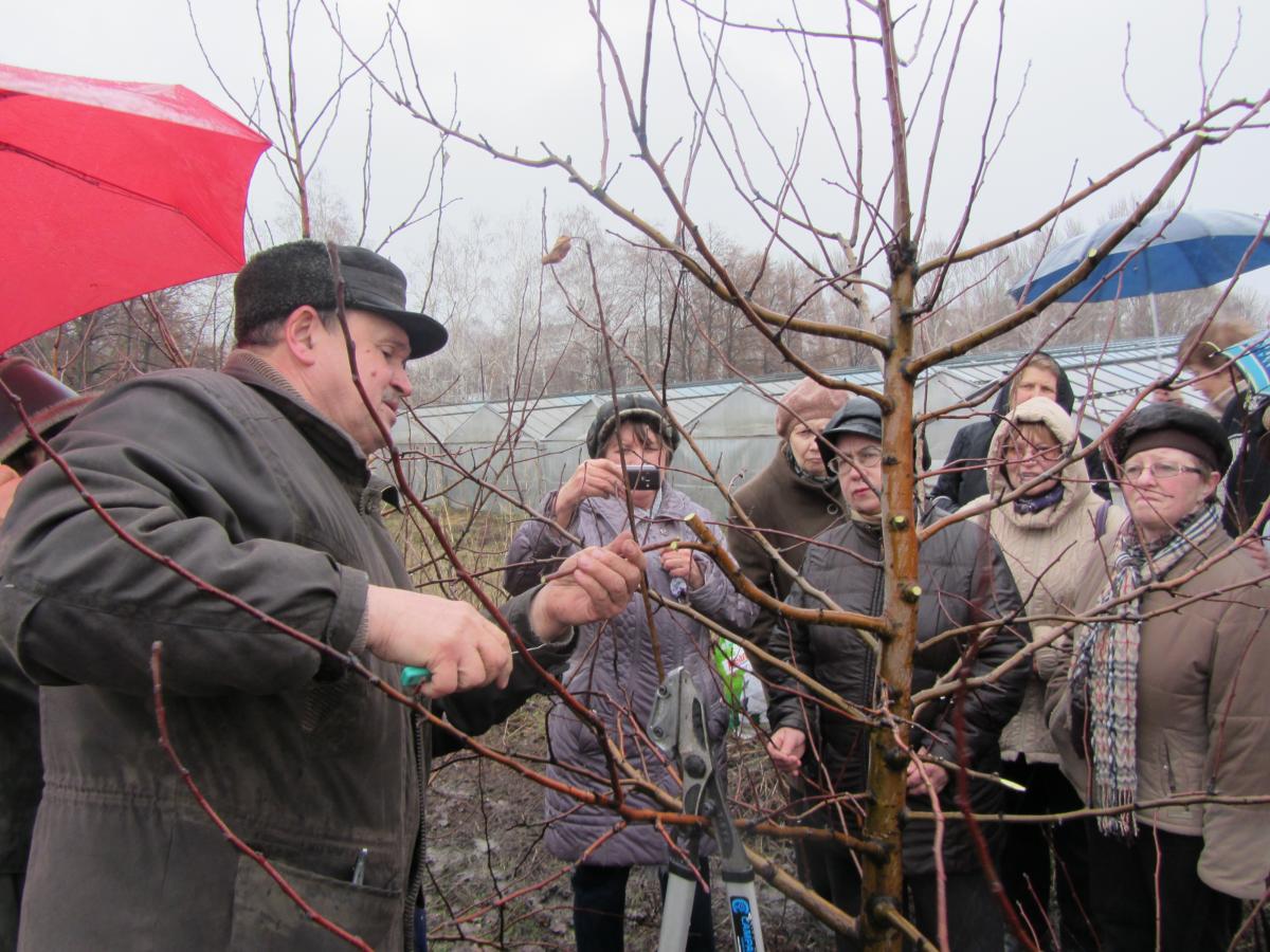 Городской семинар садоводов-любителей Фото 3