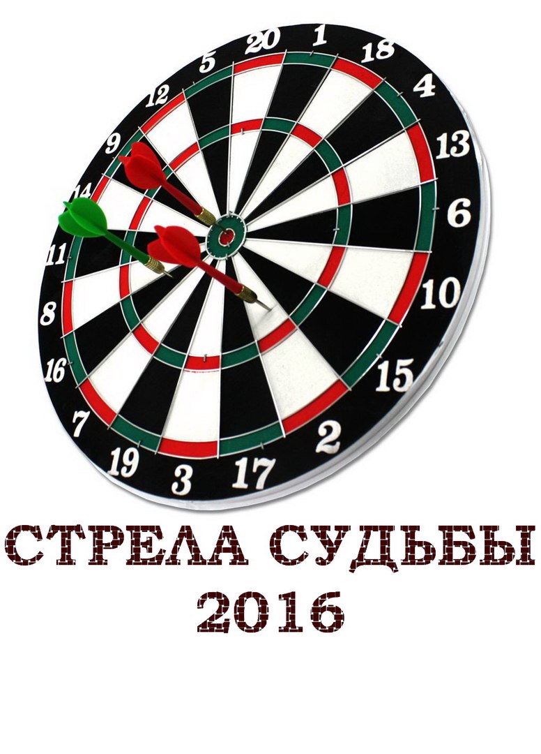 "СТРЕЛА СУДЬБЫ-2016" турнир по дартс от ССК "Вавиловец" Фото 5