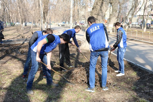 Зеленая Весна 2016 Фото 4