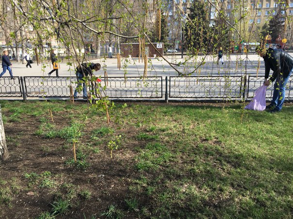 Студенты факультета инженерии и природообустройства провели плановый субботник. Фото 4