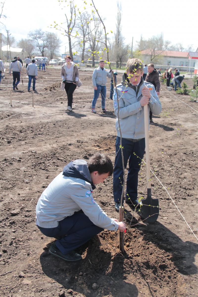 УНПО "Поволжье" Саратовского ГАУ заложили парк в п. Степное Энгельсского района. Фото 4