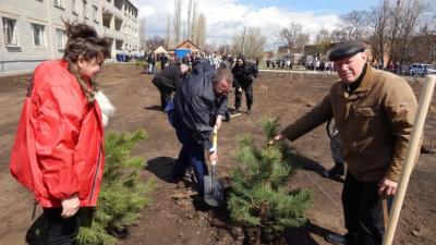 Закладка парка в п.г.т Степное