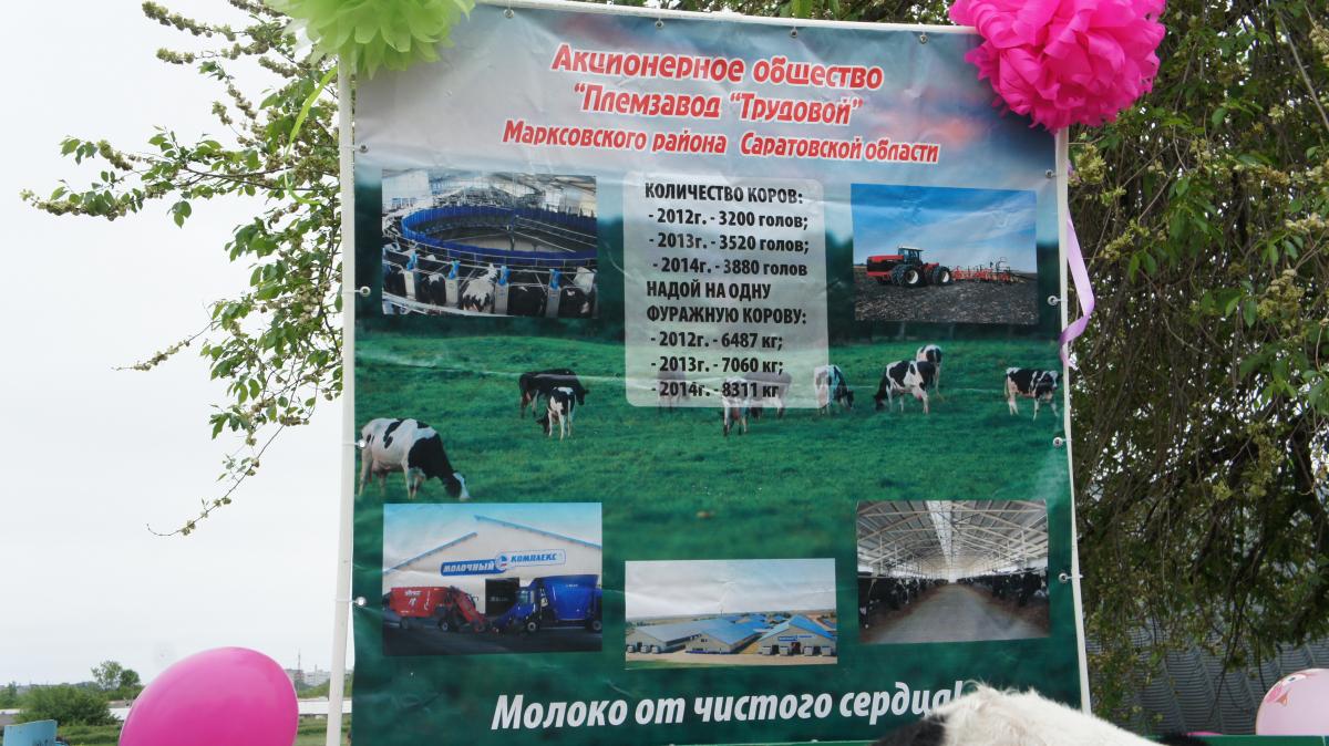 ТОРЖЕСТВЕННОЕ ОТКРЫТИЕ 158-ГО БЕГОВОГО СЕЗОНА НА ИППОДРОМЕ Фото 2 ТОРЖЕСТВЕННОЕ ОТКРЫТИЕ 158-ГО БЕГОВОГО СЕЗОНА НА ИППОДРОМЕ Фото 2