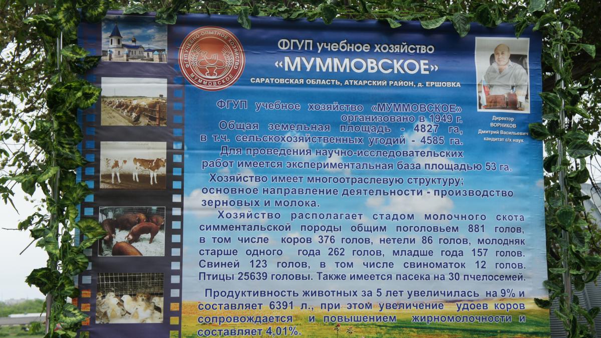 ТОРЖЕСТВЕННОЕ ОТКРЫТИЕ 158-ГО БЕГОВОГО СЕЗОНА НА ИППОДРОМЕ Фото 4 ТОРЖЕСТВЕННОЕ ОТКРЫТИЕ 158-ГО БЕГОВОГО СЕЗОНА НА ИППОДРОМЕ Фото 4