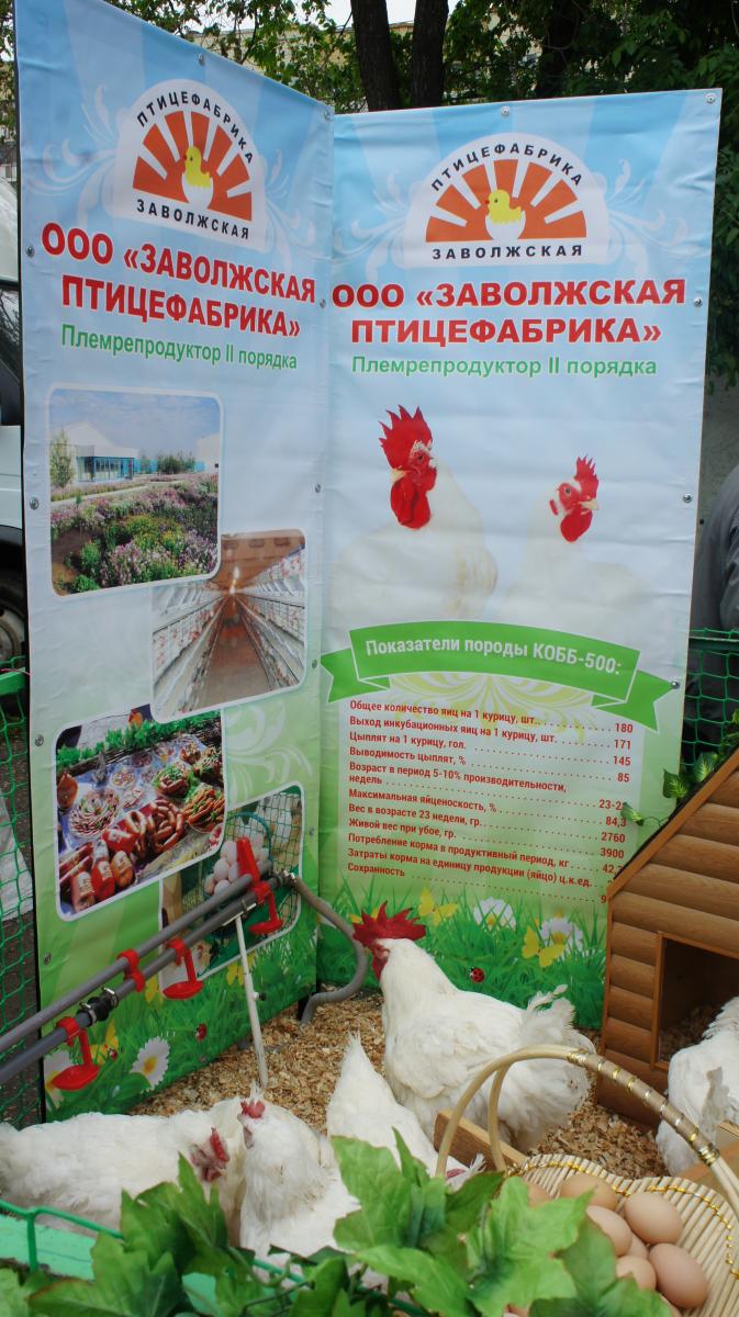 ТОРЖЕСТВЕННОЕ ОТКРЫТИЕ 158-ГО БЕГОВОГО СЕЗОНА НА ИППОДРОМЕ Фото 18 ТОРЖЕСТВЕННОЕ ОТКРЫТИЕ 158-ГО БЕГОВОГО СЕЗОНА НА ИППОДРОМЕ Фото 18