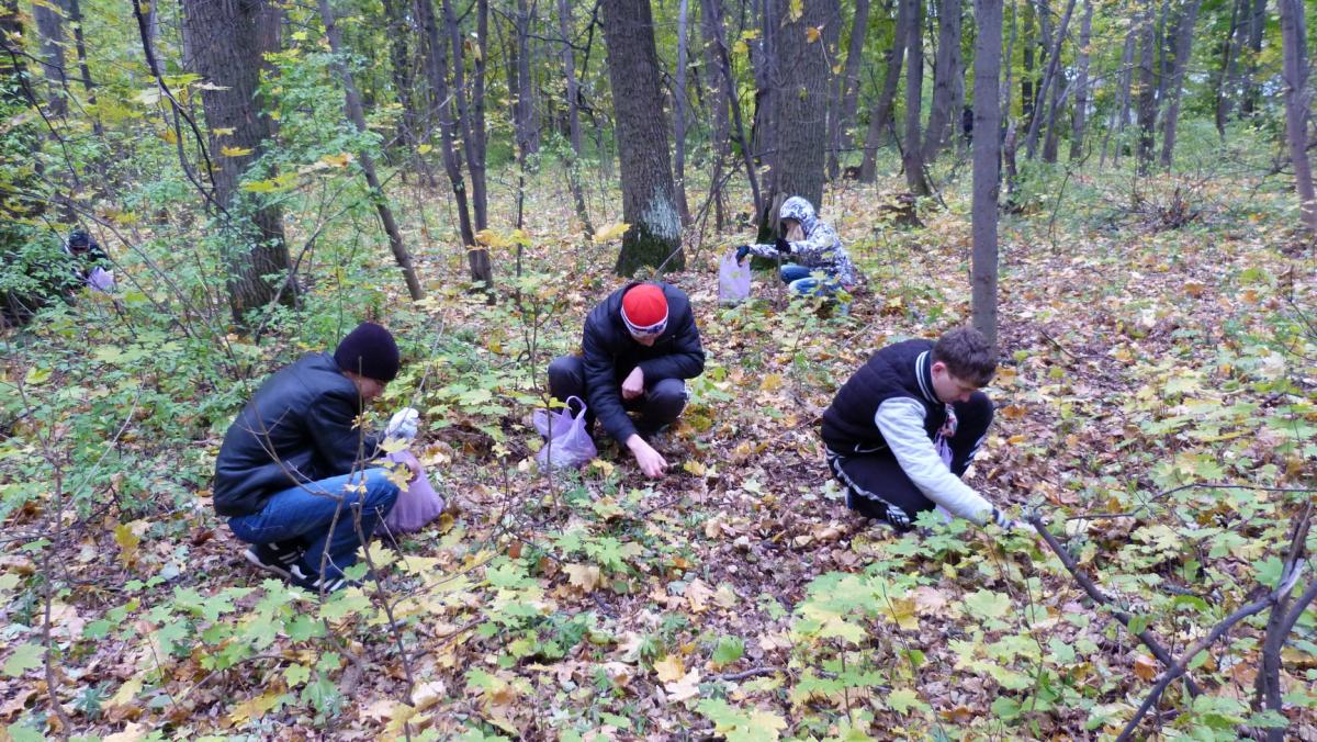 Всероссийская акция "Живи лес" на Кумысной поляне Фото 1