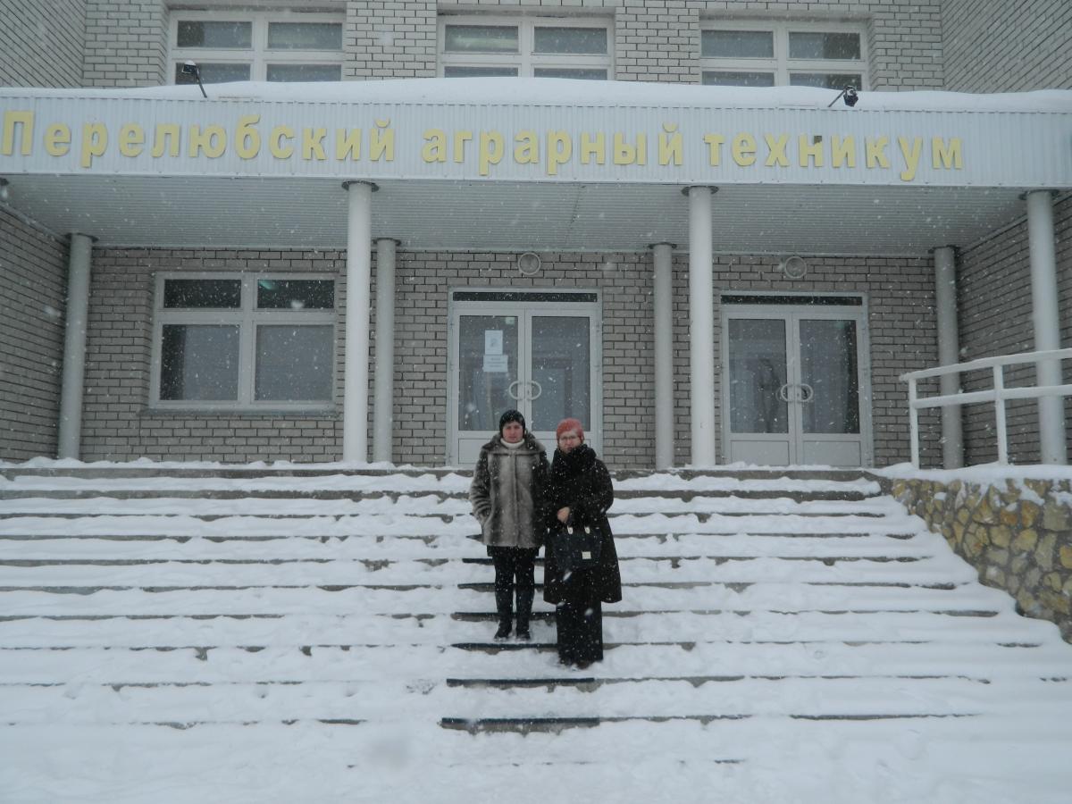 Профориентационная работа кафедры Иностранные языки и культура речи. Фото 8
