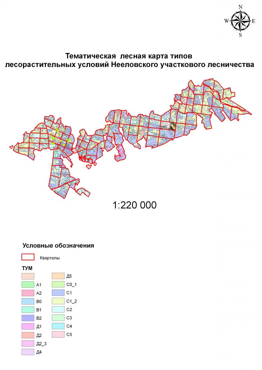 В СГАУ стартовала VII Всероссийская студенческая олимпиада имени Н.И. Суса по специальности «Лесное хозяйство» Фото 4