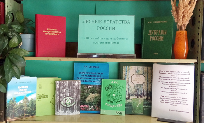 «Лесные богатства России» Фото 1