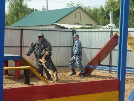 Экскурсионная встреча студентов Краснокутского зооветеринарного техникума  с сотрудниками  кинологического центра отдела МВД России по Краснокутскому району. Фото 8