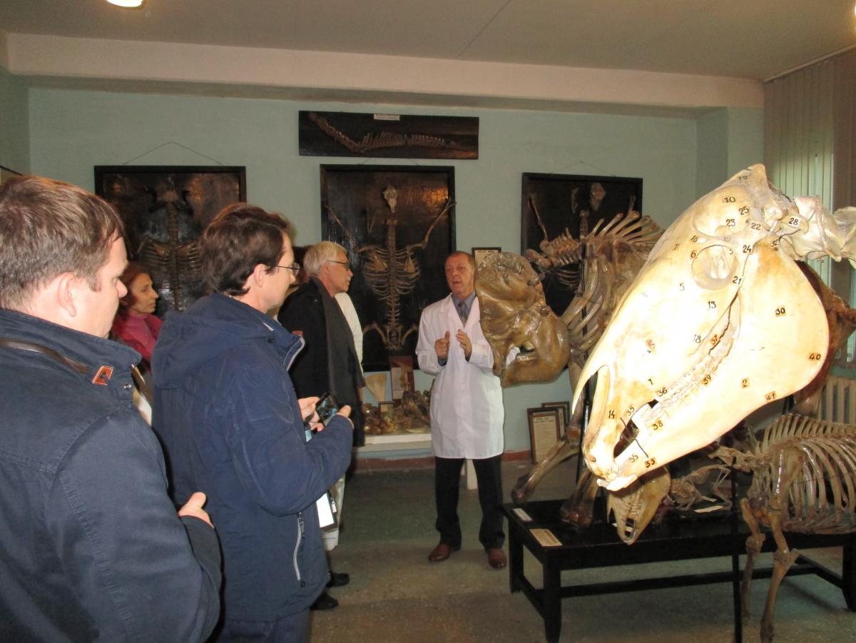 Экскурсия в анатомическом музее для  участников Пленума научно-методического совета по рыбному хозяйству Фото 3