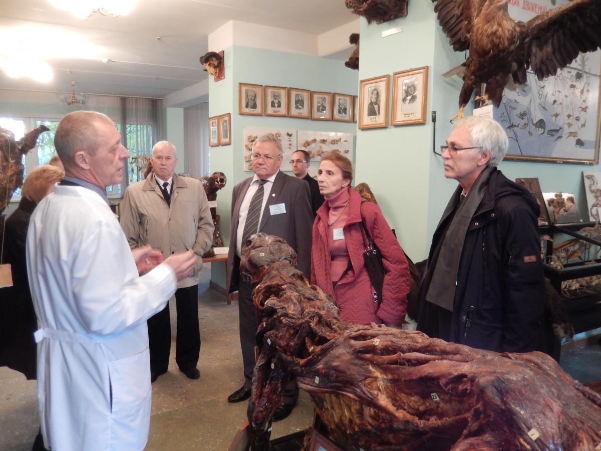 Экскурсия в анатомическом музее для  участников Пленума научно-методического совета по рыбному хозяйству Фото 4