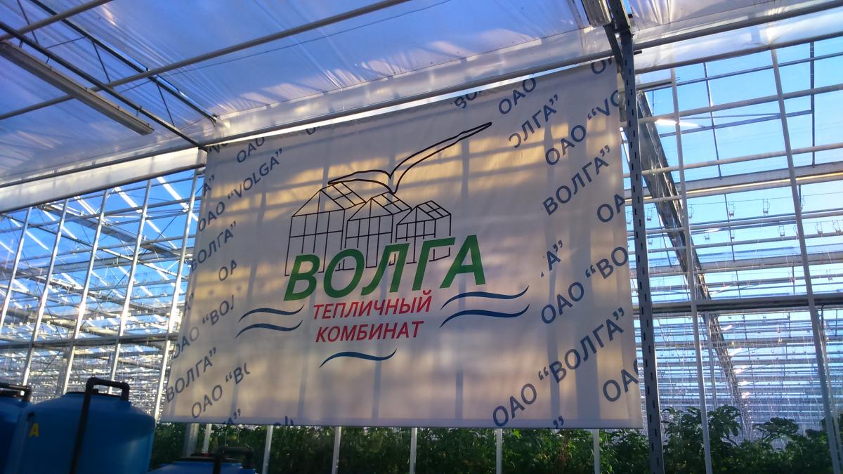 Практические аспекты обучения и повышения квалификации преподавателей в ОАО «Волга» Балаковского района Саратовской области Фото 1 Практические аспекты обучения и повышения квалификации преподавателей в ОАО «Волга» Балаковского района Саратовской области Фото 1