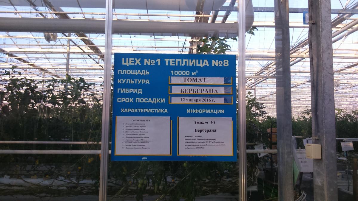 Практические аспекты обучения и повышения квалификации преподавателей в ОАО «Волга» Балаковского района Саратовской области Фото 9 Практические аспекты обучения и повышения квалификации преподавателей в ОАО «Волга» Балаковского района Саратовской области Фото 9
