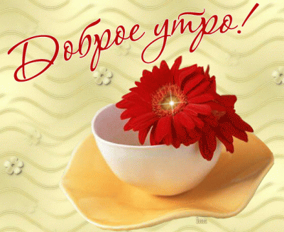 АНОНС. Акция "Доброе утро"
