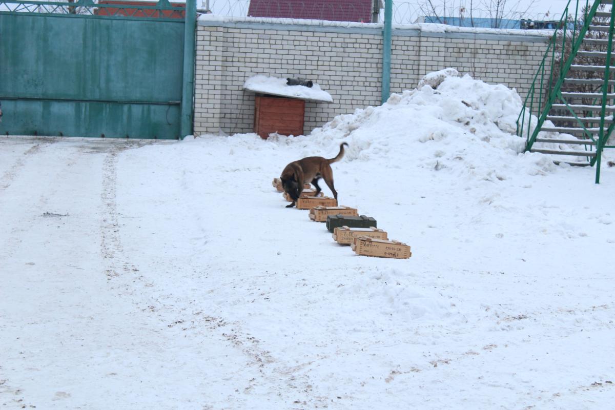 "Студенческий десант" Фото 2