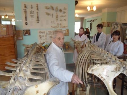 Проведение экскурсии в анатомическом и патологоанатомическом музее Фото 1