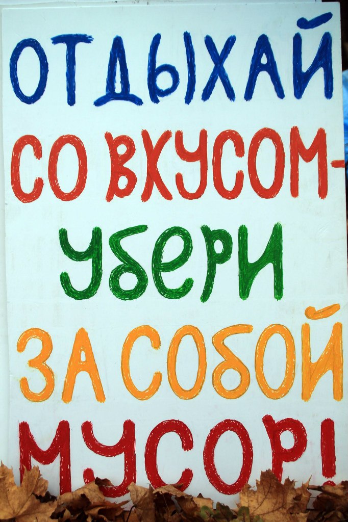 Вернём природе её первозданную красоту, а людям - чистый лес. Фото 6