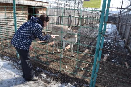 Экологическая акция «Преданное сердце» и экологический урок «Заповедные острова» в г. Хвалынске Фото 7