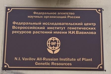 Cтажировка в ФБГНУ «Федеральный исследовательский центр Всероссийский институт генетических ресурсов растений имени Н.И. Вавилова» Фото 1 Cтажировка в ФБГНУ «Федеральный исследовательский центр Всероссийский институт генетических ресурсов растений имени Н.И. Вавилова» Фото 1