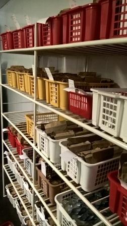 Cтажировка в ФБГНУ «Федеральный исследовательский центр Всероссийский институт генетических ресурсов растений имени Н.И. Вавилова» Фото 6 Cтажировка в ФБГНУ «Федеральный исследовательский центр Всероссийский институт генетических ресурсов растений имени Н.И. Вавилова» Фото 6