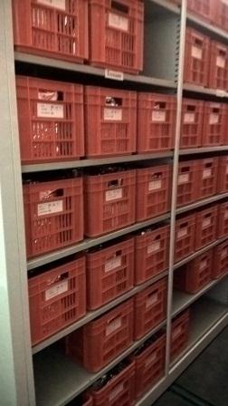 Cтажировка в ФБГНУ «Федеральный исследовательский центр Всероссийский институт генетических ресурсов растений имени Н.И. Вавилова» Фото 8 Cтажировка в ФБГНУ «Федеральный исследовательский центр Всероссийский институт генетических ресурсов растений имени Н.И. Вавилова» Фото 8