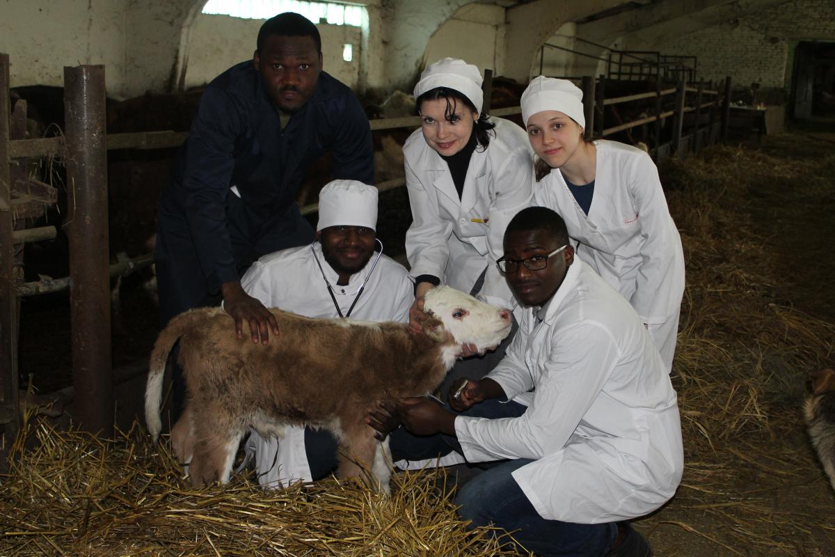 Клинический день в УПП «Экспериментальное животноводство» Фото 3