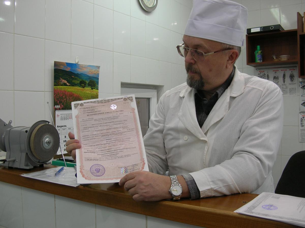 Клинический день в лаборатории ветеринарно-санитарной экспертизы рынка «Сенной» Фото 1