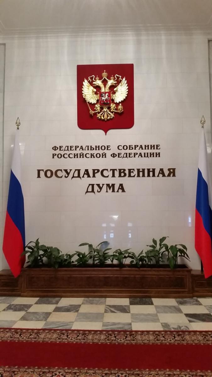 Круглый стол в Государственной Думе Федерального Собрания Российской Федерации Фото 1