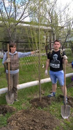 Экологическая акция «День древонасаждения» Фото 2