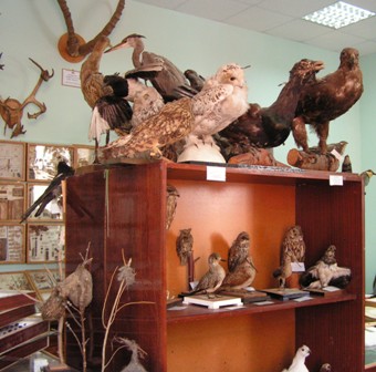 Энтомозоологический музей