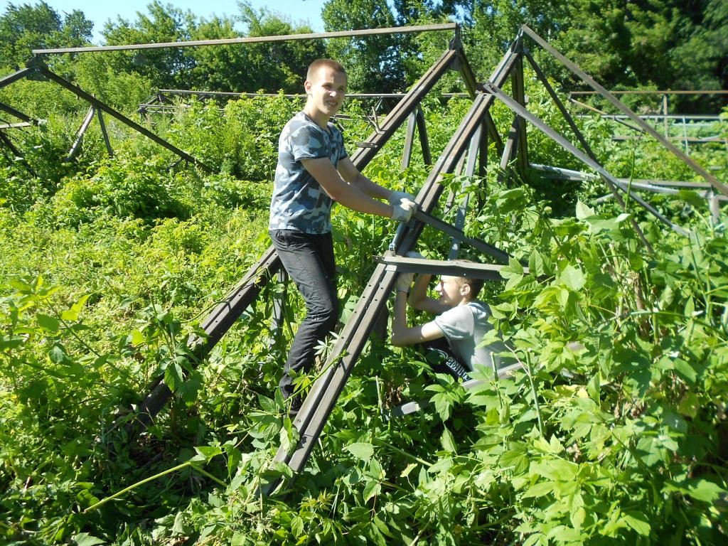 Благоустройство в «Агроцентре» Фото 1