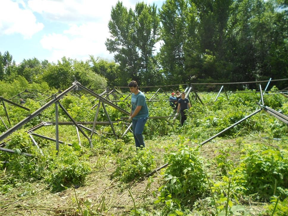 Благоустройство в «Агроцентре» Фото 3