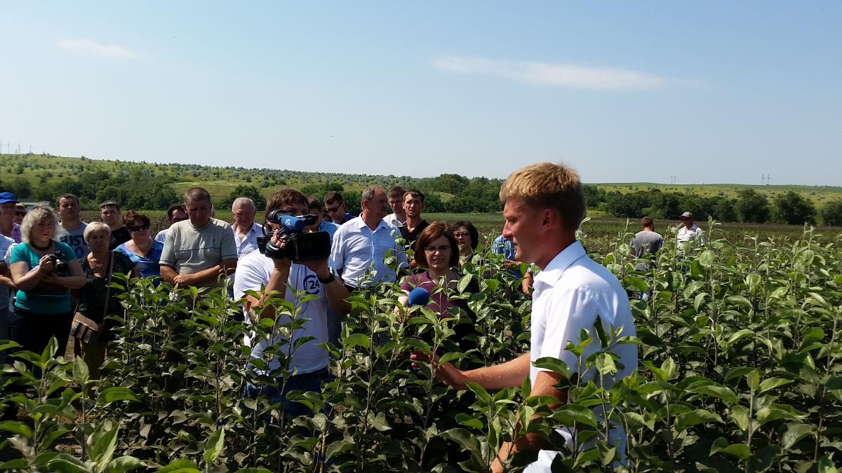 Развитие плодоводства в Саратовской области Фото 3